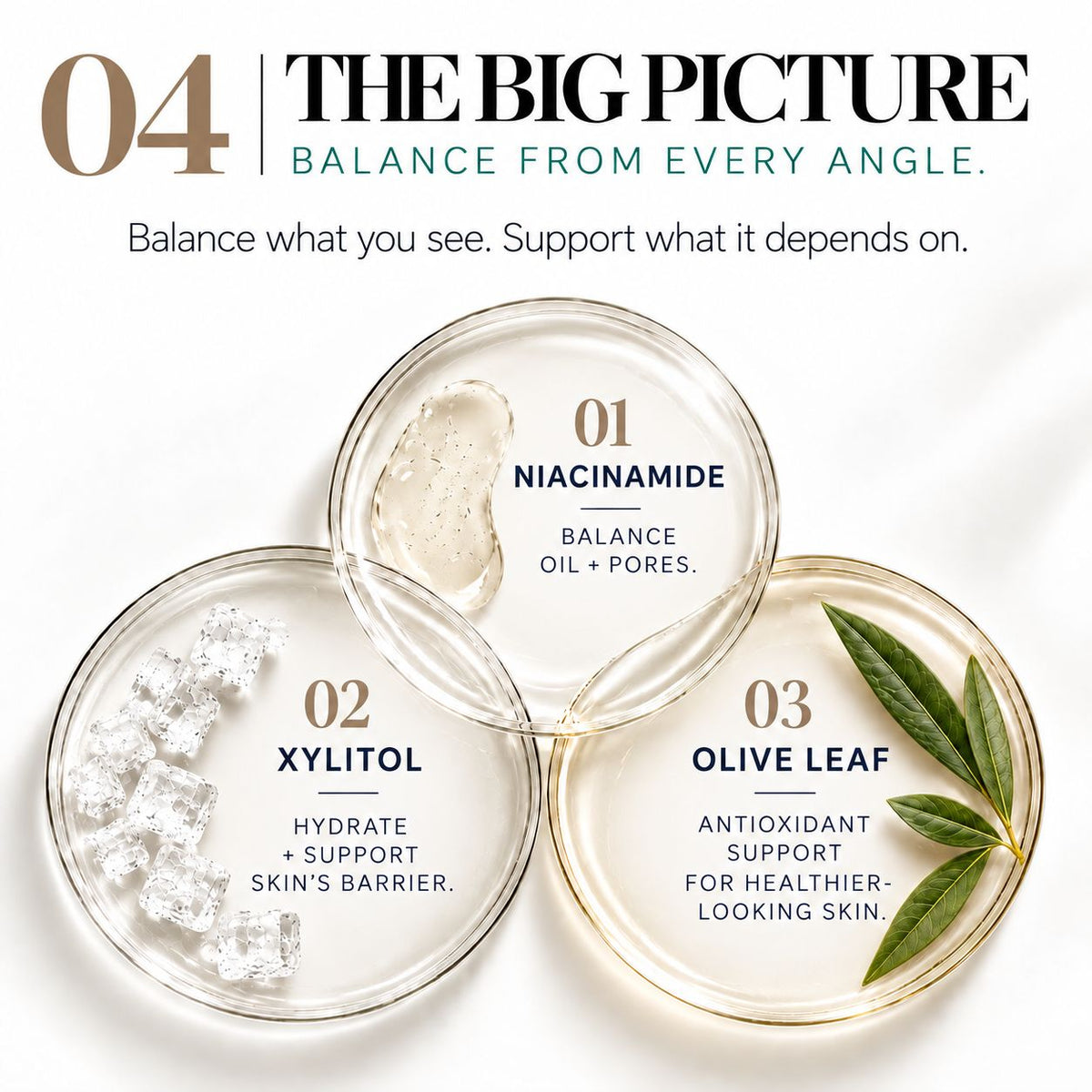 A promotional graphic for a skincare set showing three clear petri dishes labeled 01 Niacinamide, 02 Xylitol, and 03 Olive Leaf, with text reading '04 The Big Picture' and supporting copy on a white background.