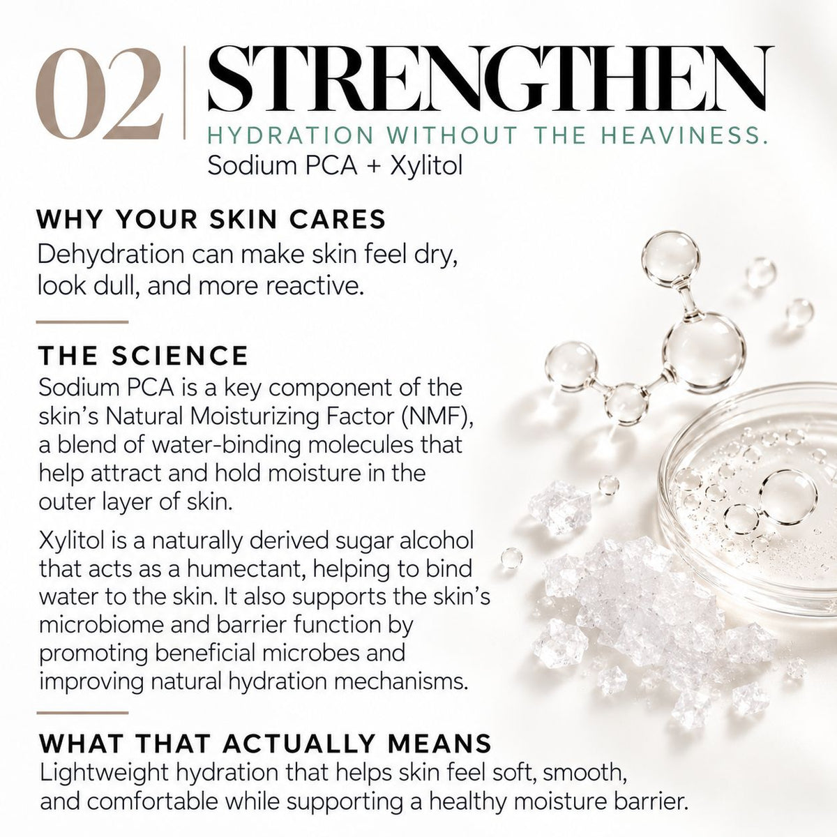 An informational skincare graphic titled '02 STRENGTHEN Hydration Without The Heaviness. Sodium PCA + Xylitol' with text blocks explaining skin hydration benefits and a clear glass dropper bottle with water droplets on a white background.