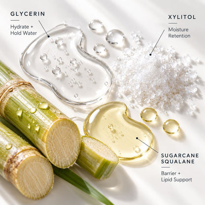 A styled flat-lay of skincare ingredients on a white surface: two green sugarcane stalks, a clear gel swatch labeled 'GLYCERIN', a white powder labeled 'XYLITOL', and a golden translucent gel swatch labeled 'SUGARCANE SQUALANE'. Text callouts explain the benefits of each ingredient.