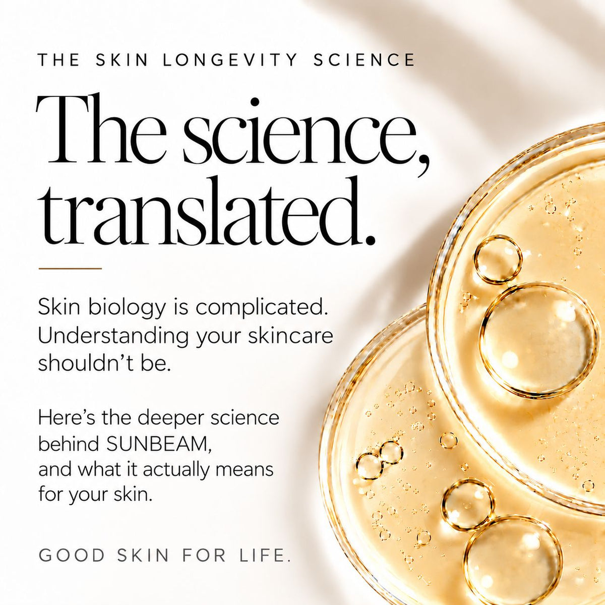 Promotional graphic with the text 'The Skin Longevity Science' and 'The science, translated.' over a warm cream background, alongside close-up imagery of gold-toned skincare droplets in petri dishes.