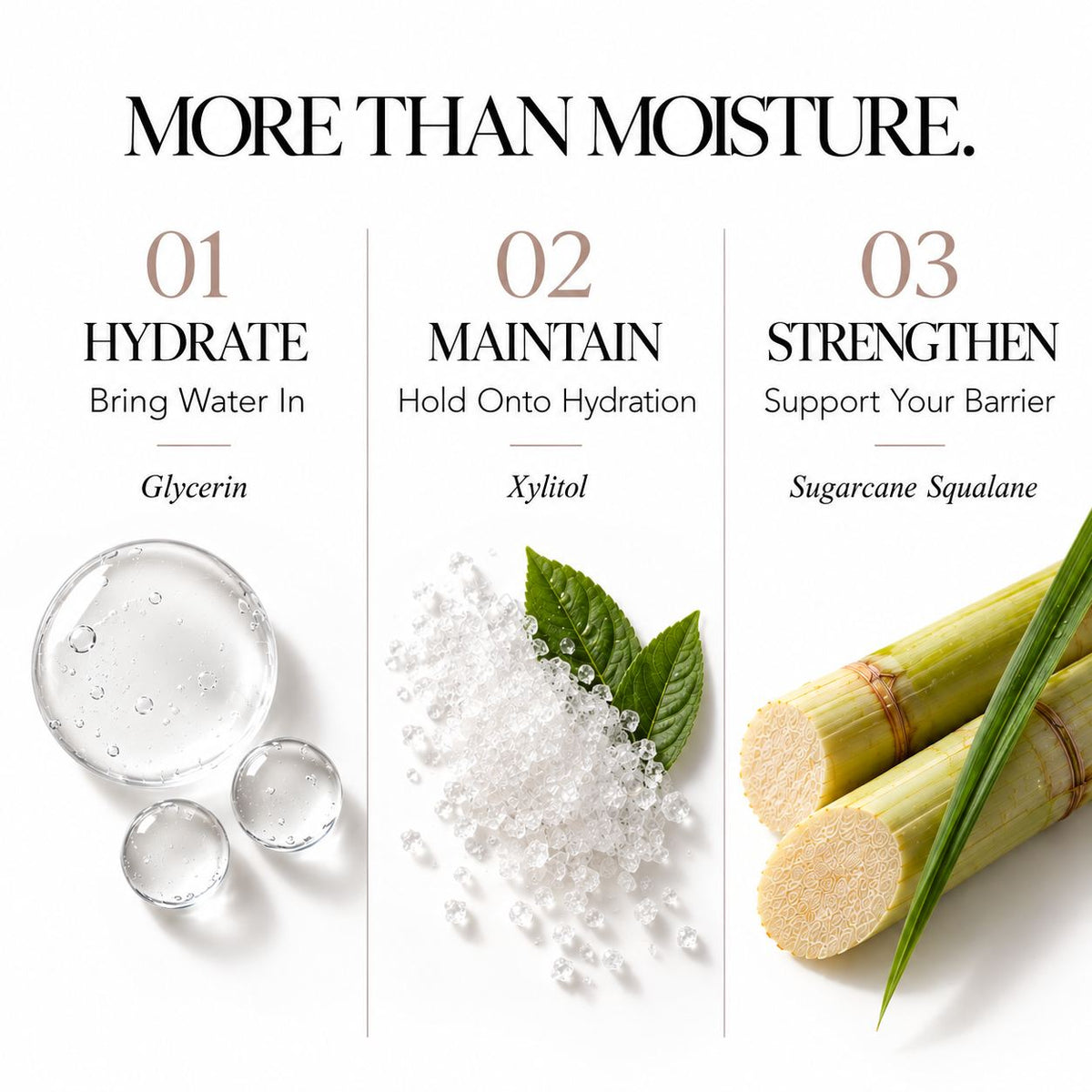 Three-panel skincare infographic on a white background with the headline 'MORE THAN MOISTURE.' Panel 01 shows water droplets and text reading 'HYDRATE' with 'Glycerin.