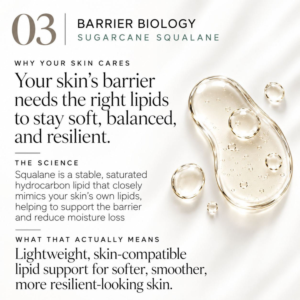 An informational skincare graphic for Barrier Biology Sugarcane Squalane, featuring text explaining skin barrier benefits and a clear droplet-style illustration of the ingredient on a white background.