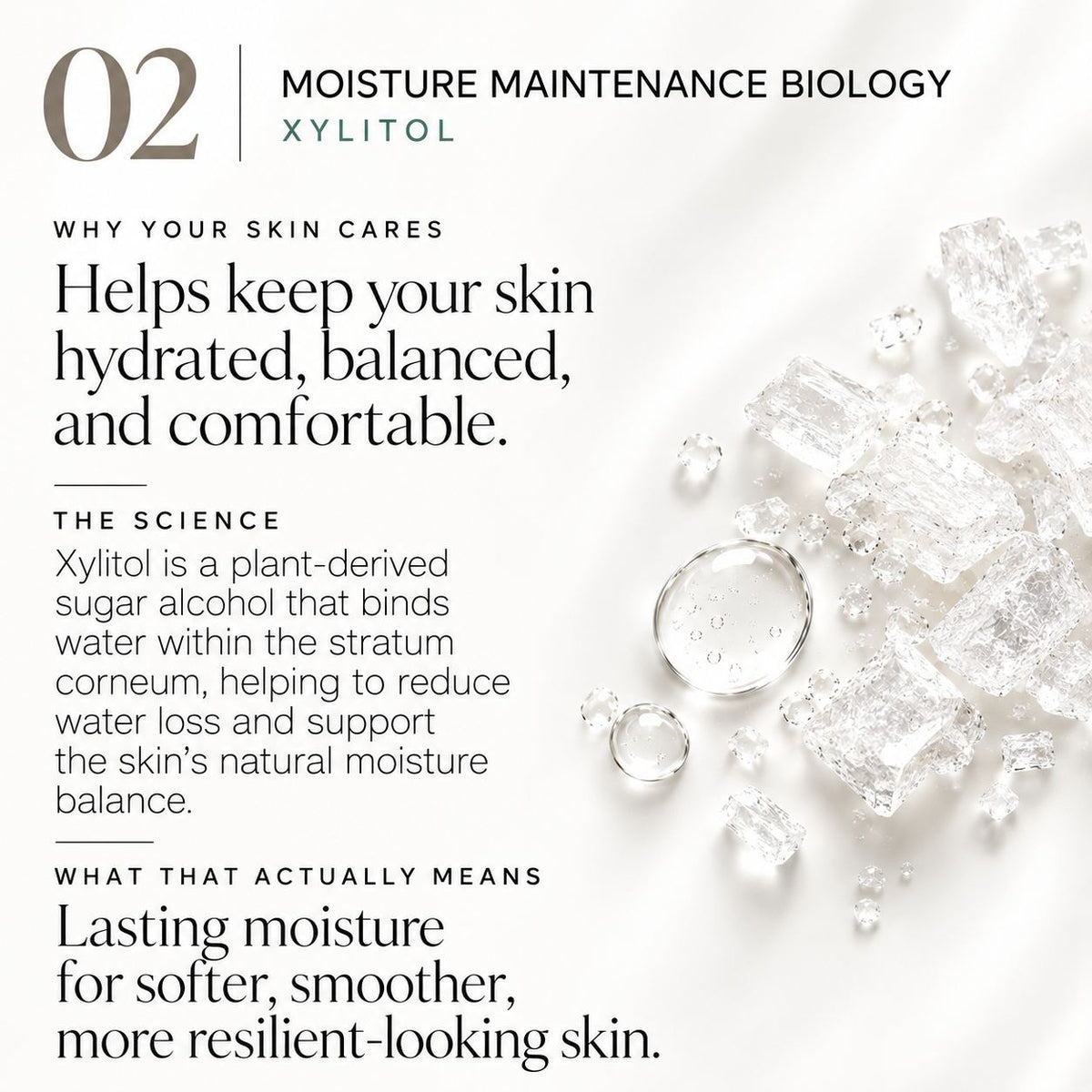 An informational skincare graphic on a white background with text about xylitol and moisture maintenance biology, alongside scattered clear ice cubes and a few liquid droplets on the right side.