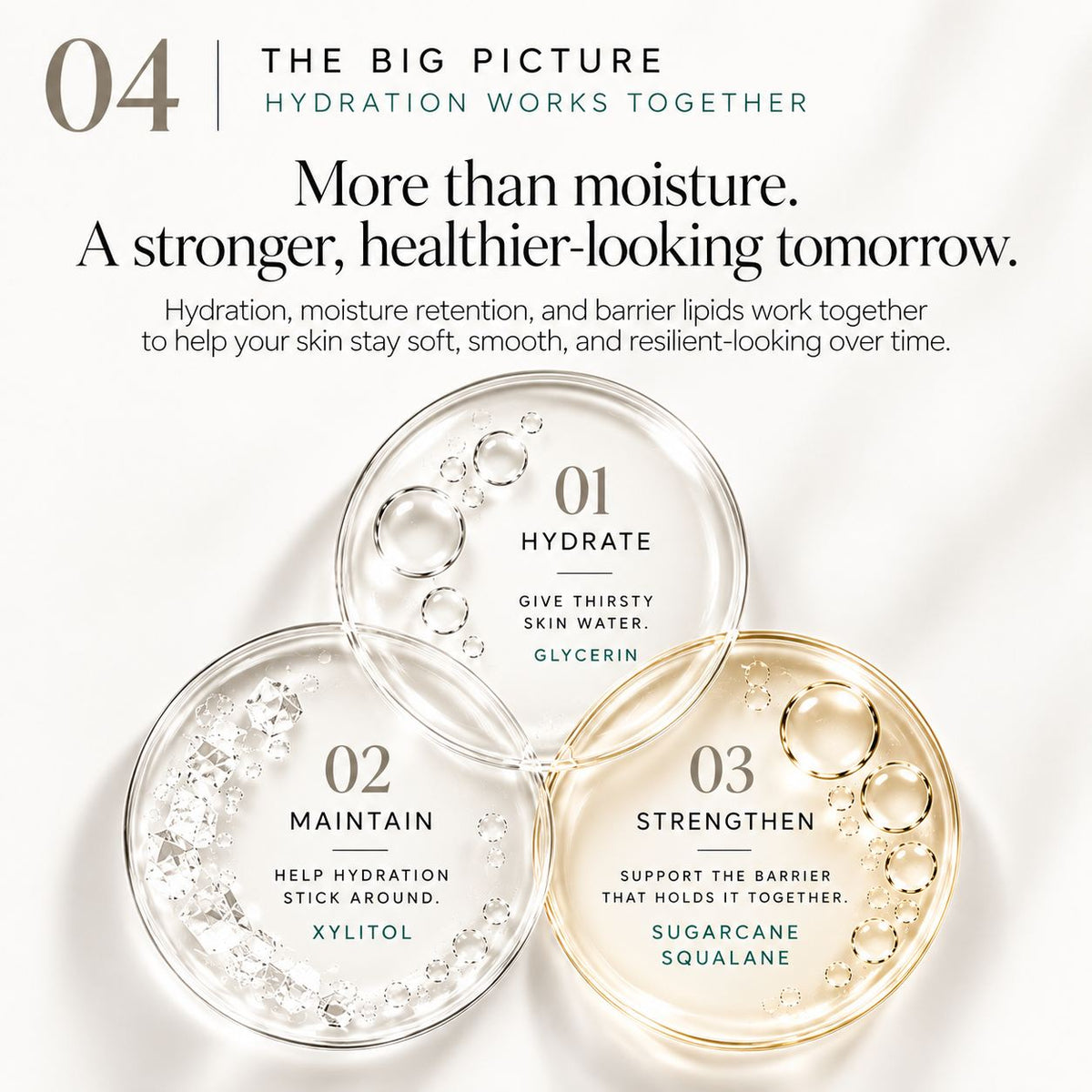 A skincare marketing graphic with three clear circular pans labeled 01 Hydrate, 02 Maintain, and 03 Strengthen, arranged in a triangle with descriptive text above. The background is a soft off-white with subtle shadows and light reflections.
